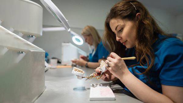 Diploma in Dental Technology