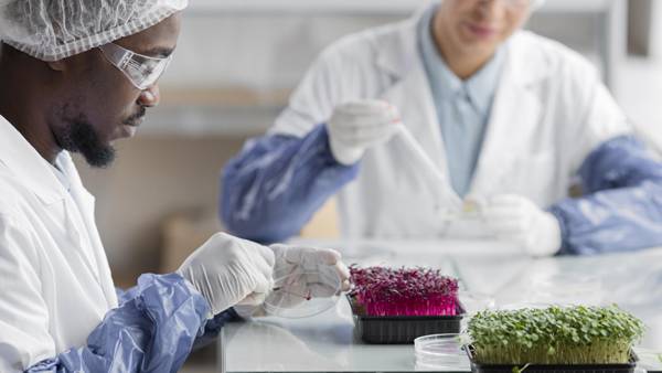 Diploma in Food Science and Drugs - 12 Months