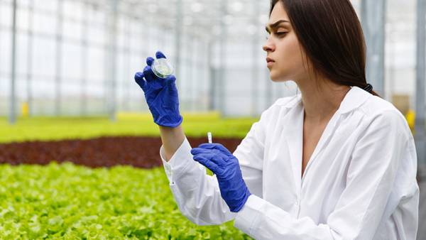 Higher Diploma in Food Science and Drugs - 12 Months