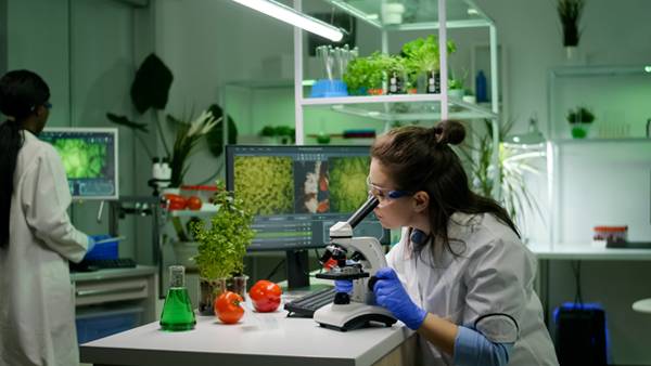 Professional Bachelors in Food Science and Drugs – 2+1 Pathway - 12 Months