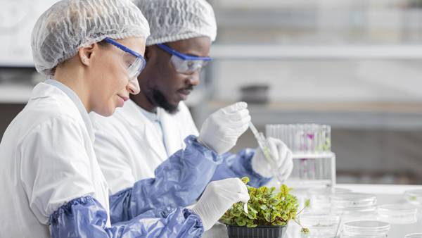 Professional Bachelors in Food Science and Drugs – 1+2 Pathway - 18 Months