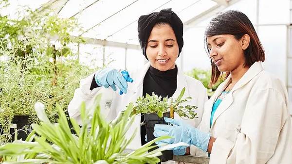 Diploma in Environmental Science - 12 Months