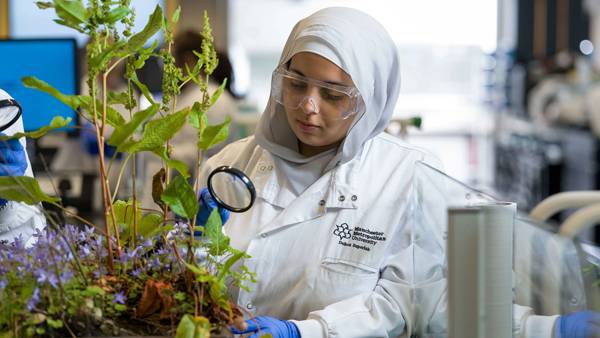 Bachelors in Environmental Science – 2+1 Pathway - 12 Months