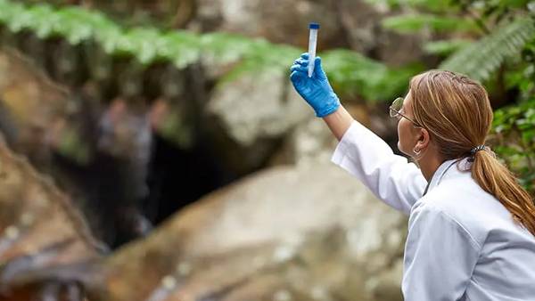 Bachelors in Environmental Science – 1+2 Pathway - 18 Months
